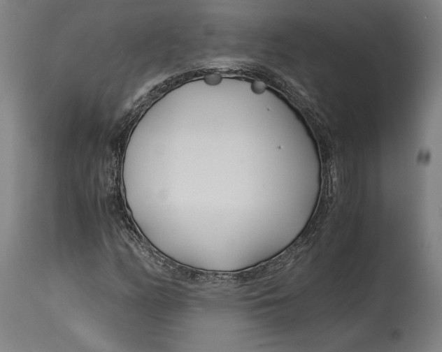 X0000114541158200911091126