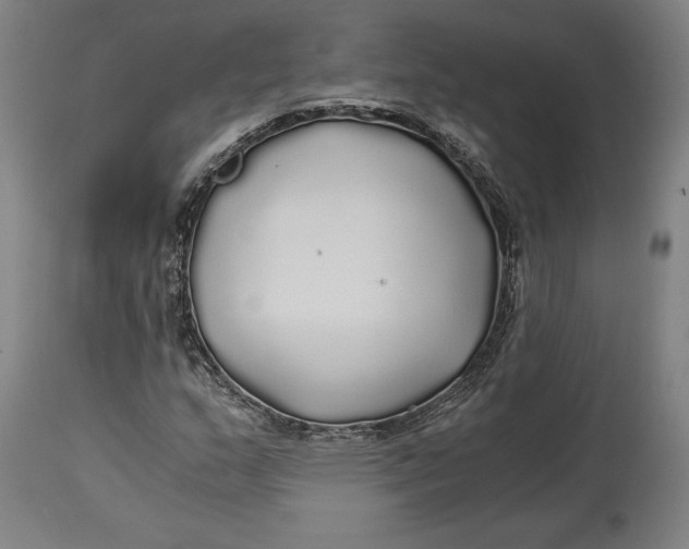 X0000114541159200911091126