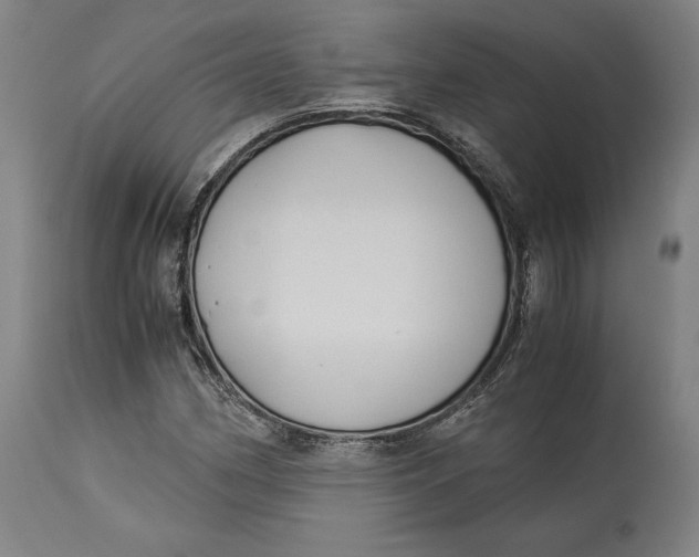 X0000114541162200911091126