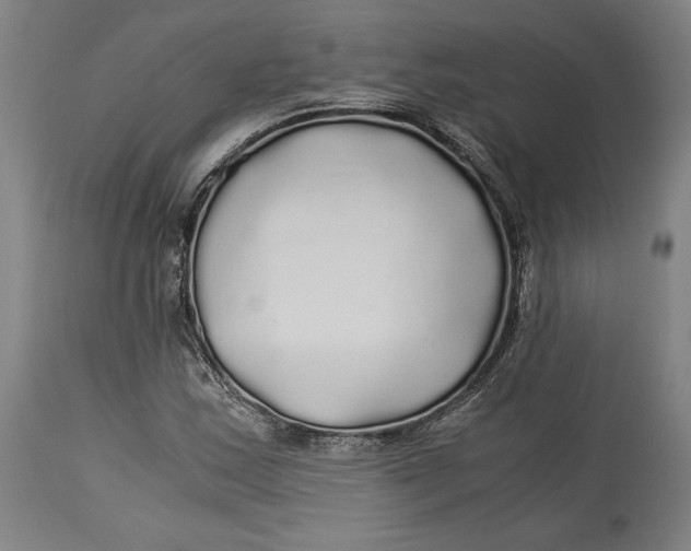 X0000114541163200911091126