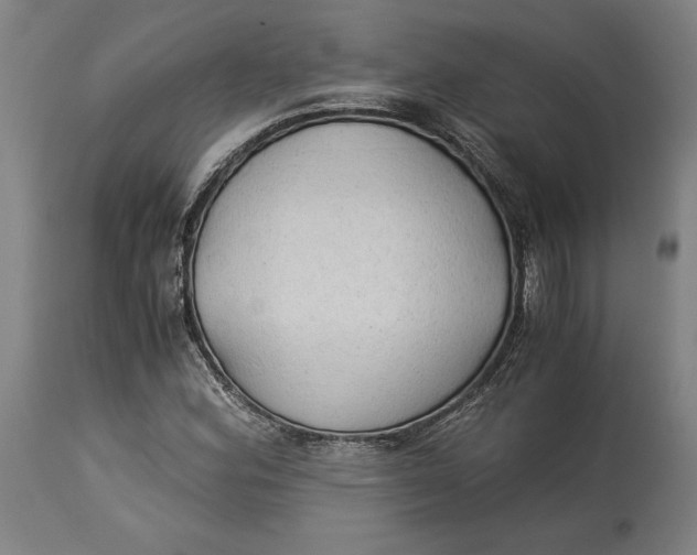 X0000114541164200911091126