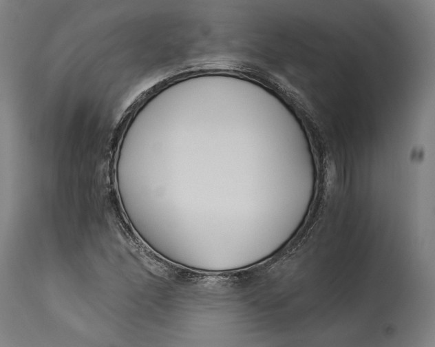 X0000114541166200911091126