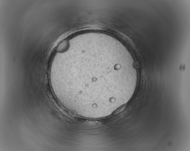 X0000114541168200911091126