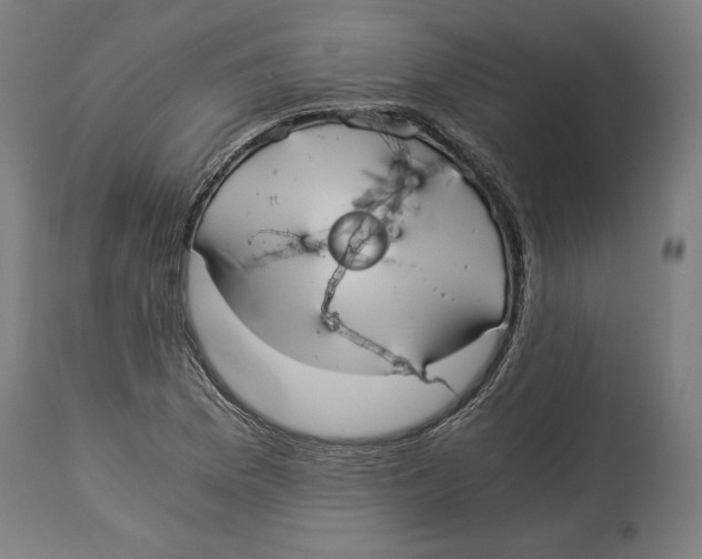 X0000114541169200911091126