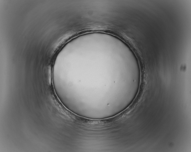 X0000114541171200911091126