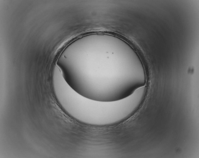 X0000114541173200911091126