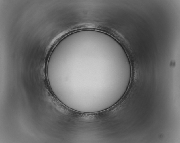 X0000114541174200911091126