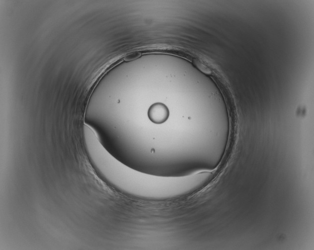 X0000114541177200911091126