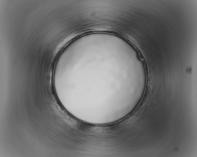 X0000114541179200911091126