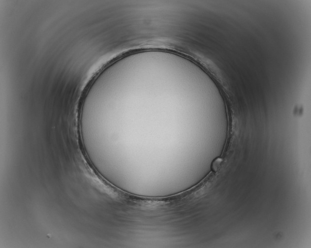 X0000114541184200911091126