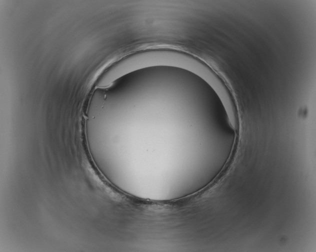 X0000114541189200911091126