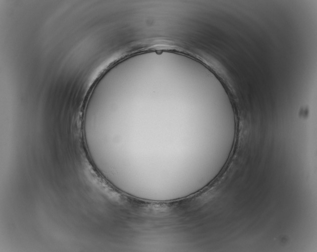 X0000114541190200911091126