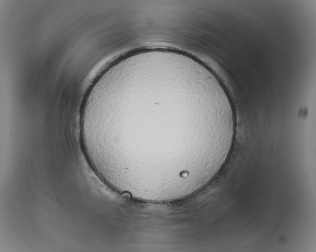 X0000114541191200911091126