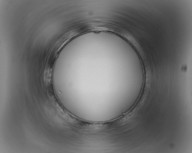 X0000114541193200911091126