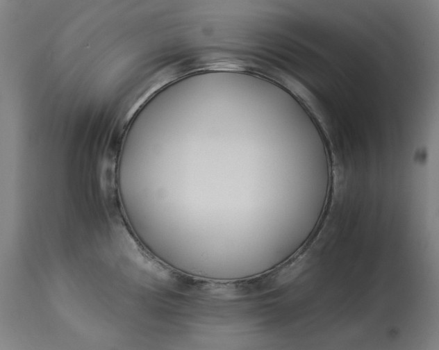 X0000114541194200911091126