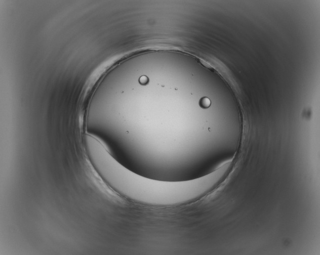 X0000114541196200911091126