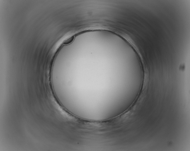 X0000114541197200911091126