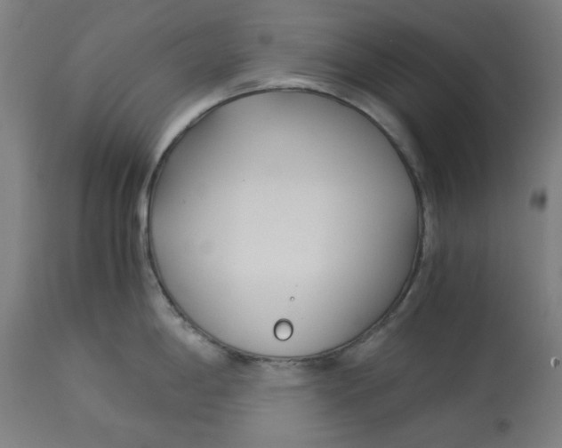 X0000114541198200911091126