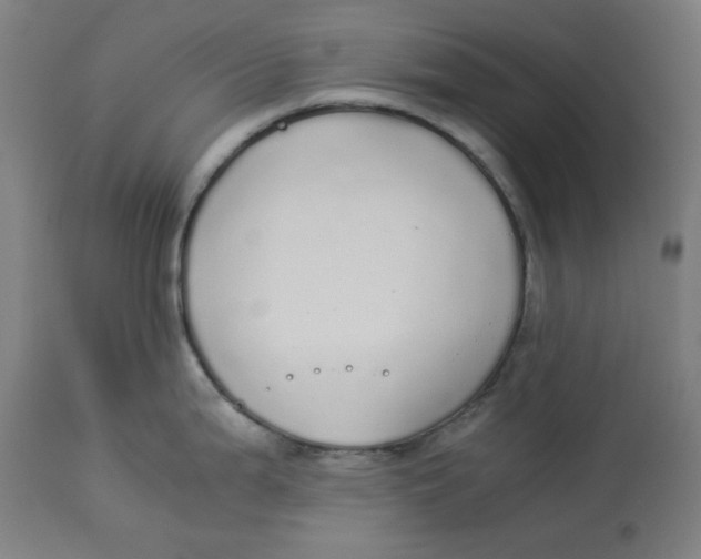 X0000114541199200911091125