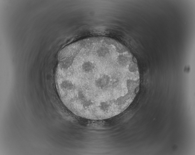 X0000114541201200911091125