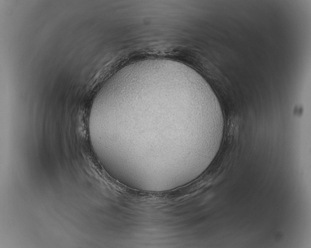 X0000114541202200911091125