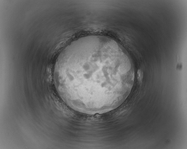 X0000114541203200911091125