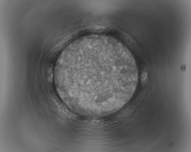 X0000114541204200911091125