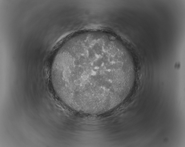 X0000114541206200911091125