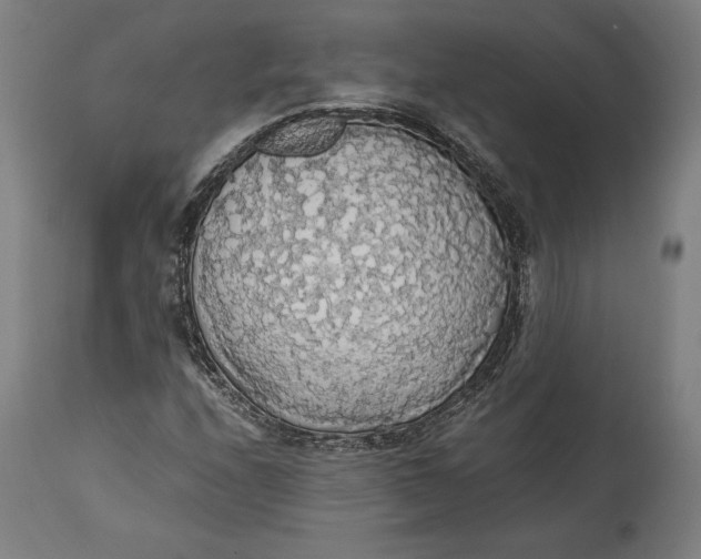 X0000114541208200911091125