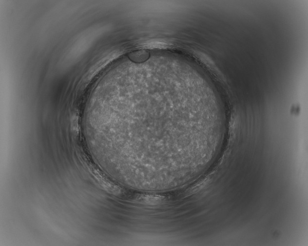 X0000114541209200911091125