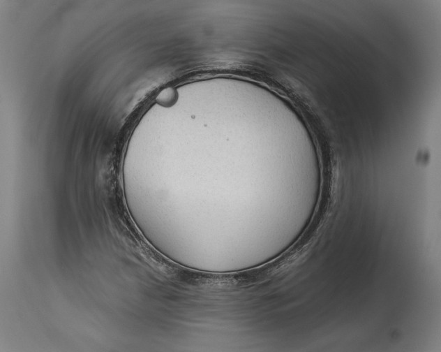 X0000114541210200911091125