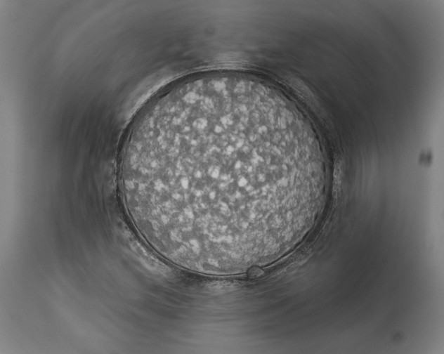 X0000114541212200911091125