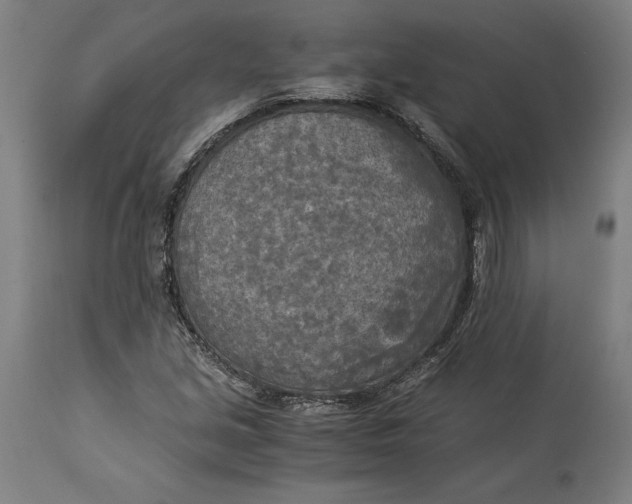 X0000114541213200911091125