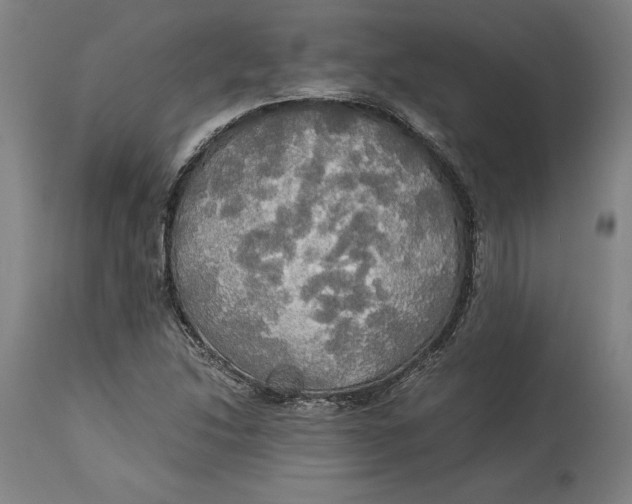 X0000114541214200911091125