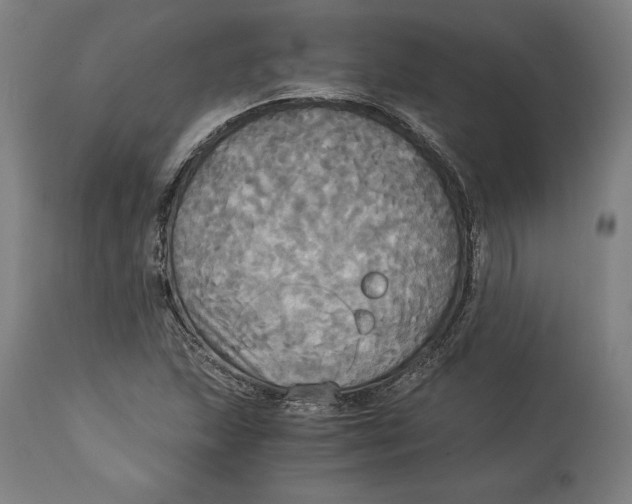 X0000114541215200911091125