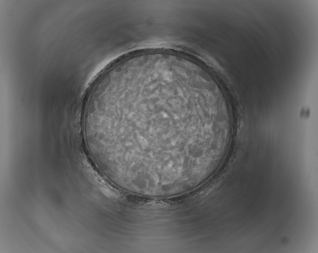 X0000114541216200911091125