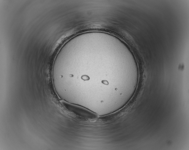 X0000114541218200911091125