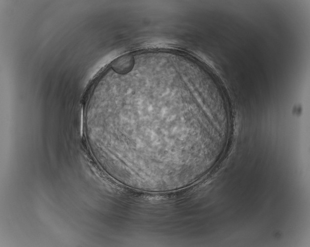 X0000114541219200911091125