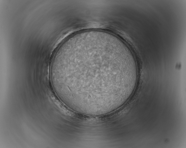 X0000114541220200911091125