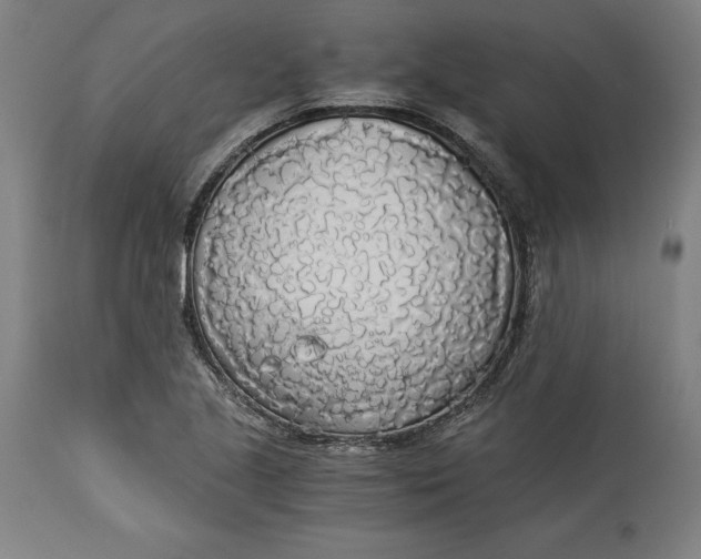 X0000114541221200911091125