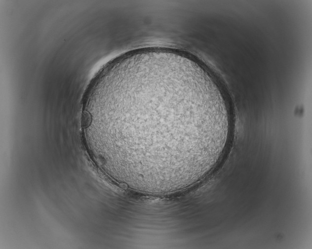 X0000114541222200911091125