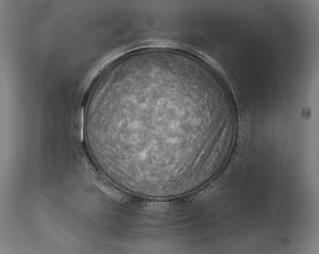 X0000114541223200911091125