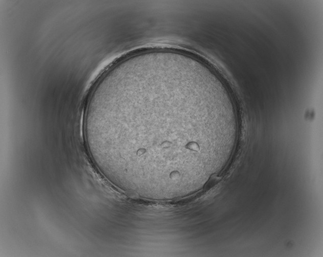 X0000114541224200911091125