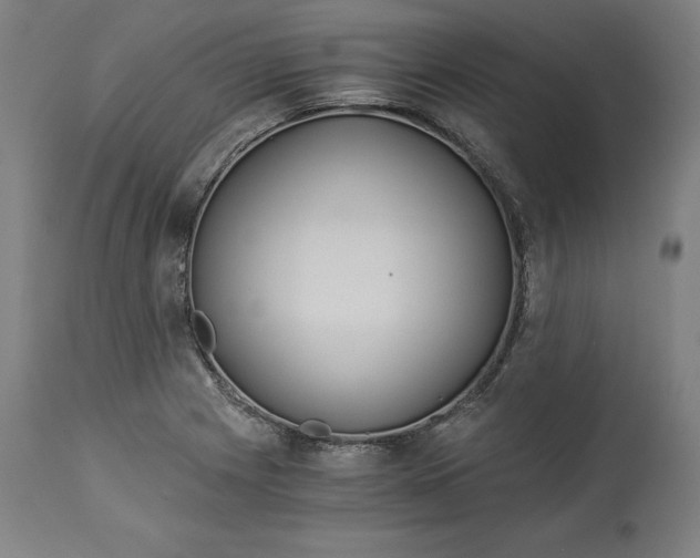 X0000114541225200911091125