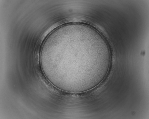 X0000114541226200911091125