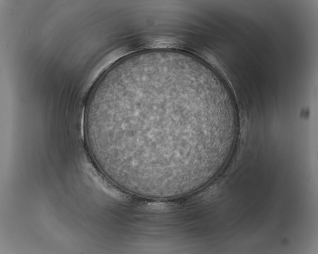 X0000114541227200911091125