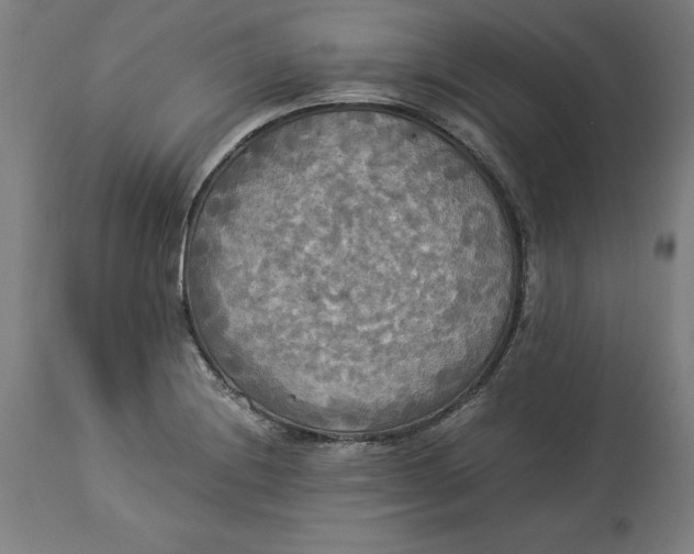 X0000114541228200911091125