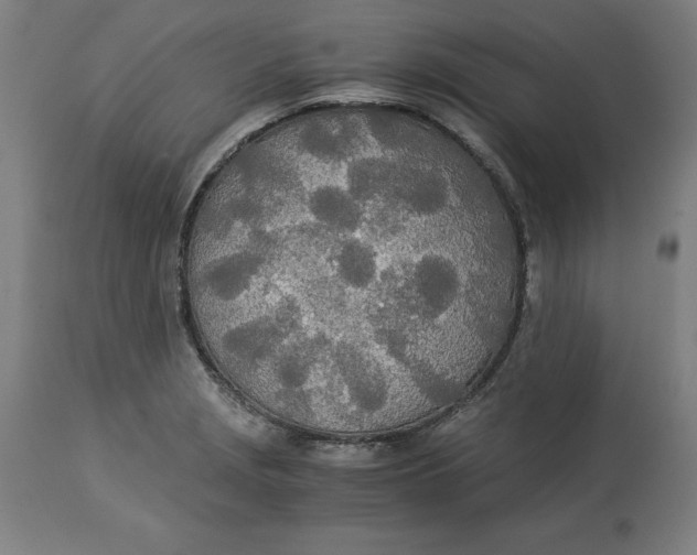 X0000114541229200911091125