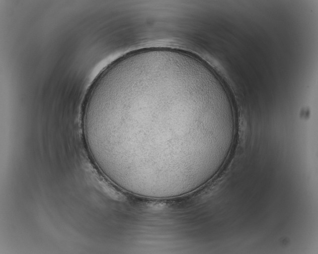 X0000114541230200911091125