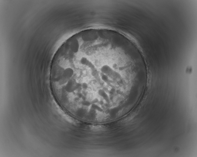 X0000114541231200911091125